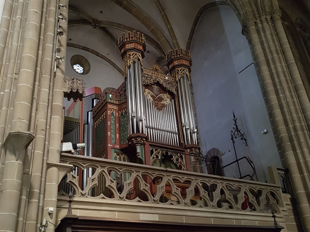 Ritterstiftskirche St. Peter-巴德温普芬必去景点