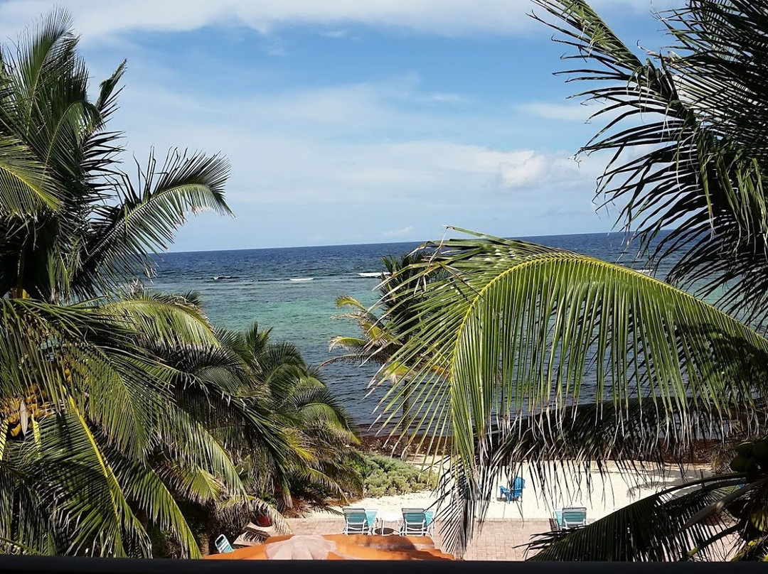 Turtle Nest Inn主图