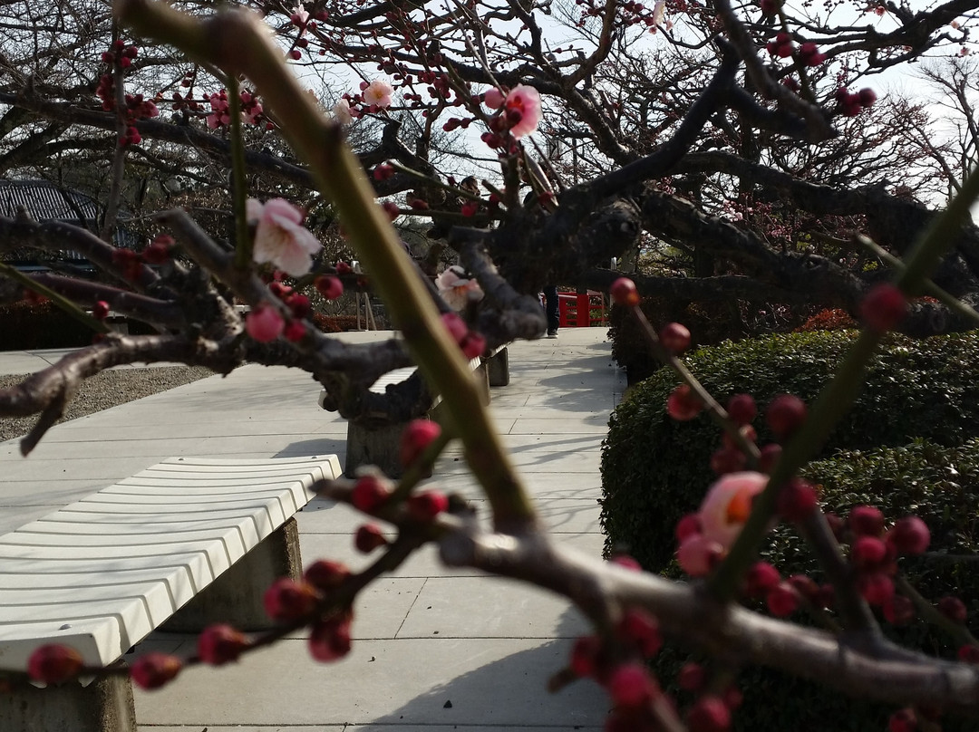 Nakayama-dera-宝冢市必去景点