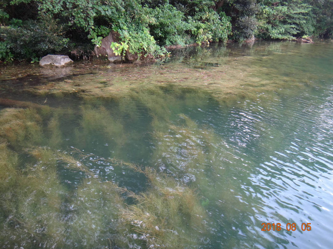Tairo Pond-三宅村必去景点