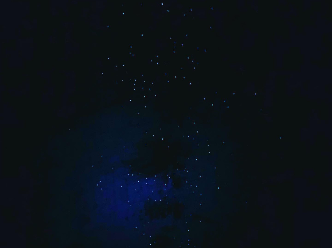 Old Helensburgh Station-海伦斯堡必去景点