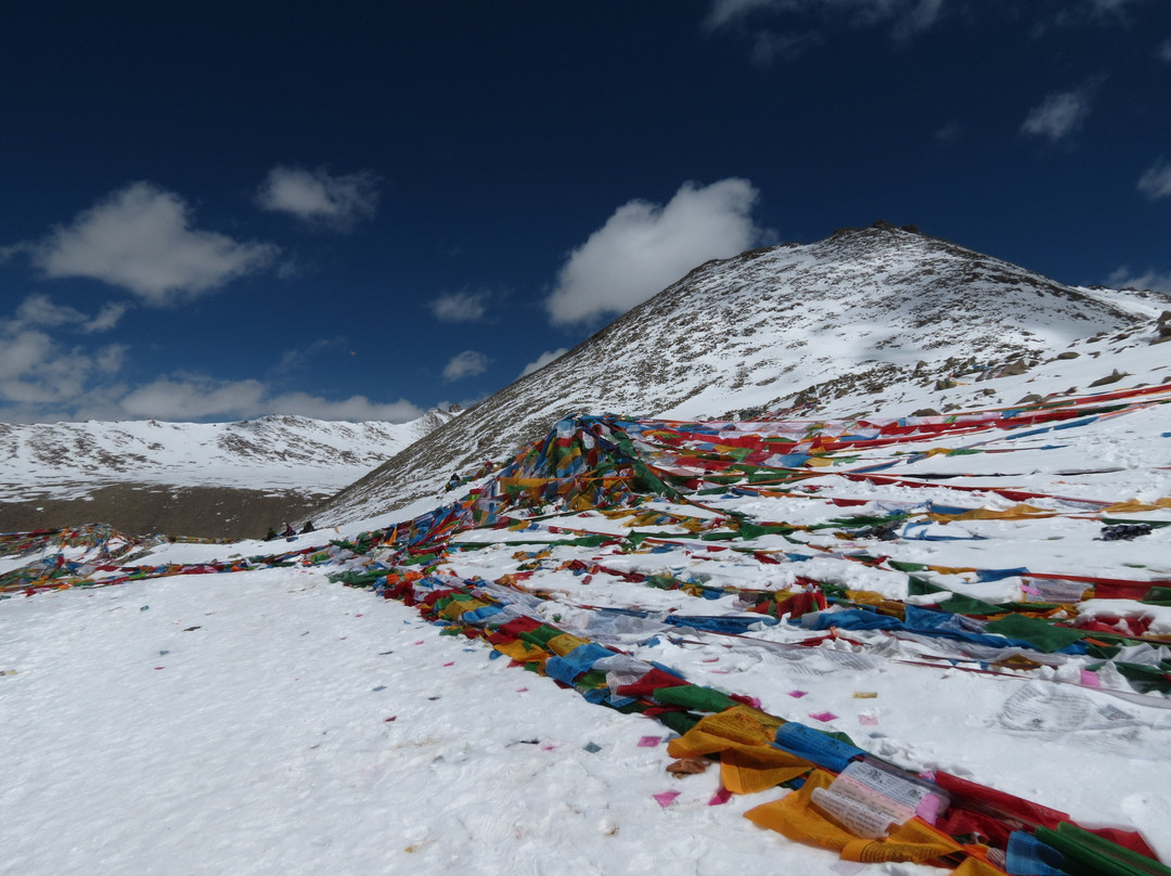 西藏高原旅游的一日游景点图片