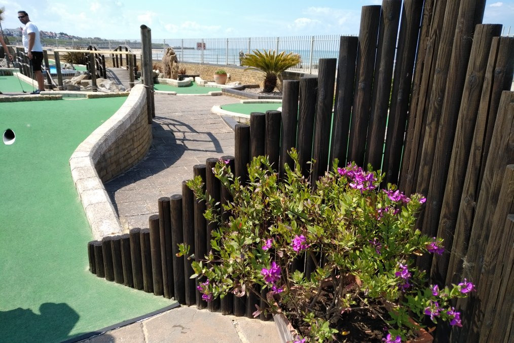 Strokes Adventure Golf景点图片