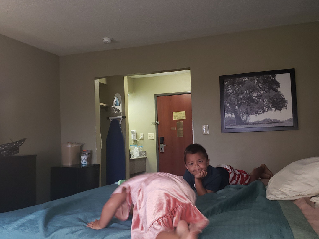 Super 8 by Wyndham Sulphur主图