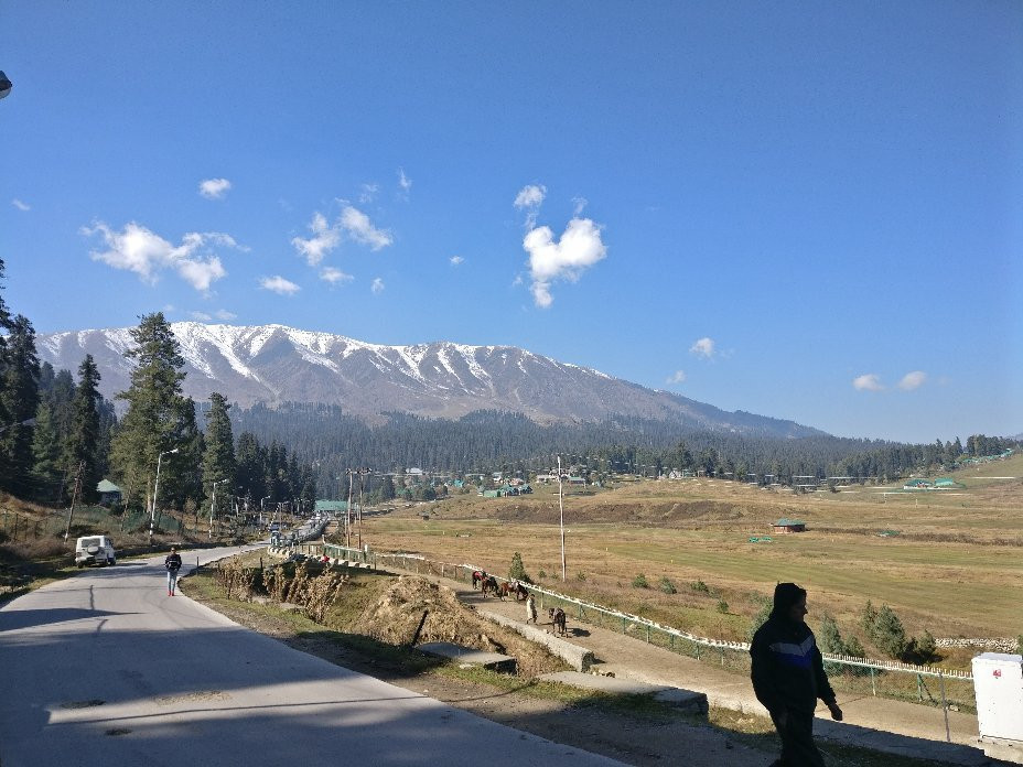 Gulmarg Meadows主图