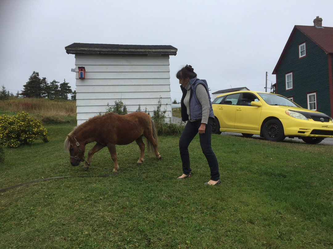 The Meems' Elliston B&B主图