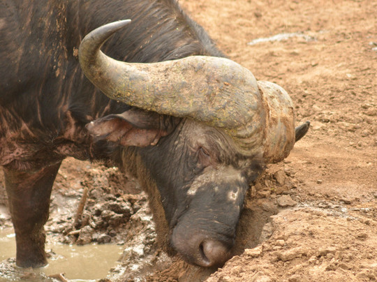 EXPLOREK2K SAFARIS AND TRANSFERS-雾观必去景点