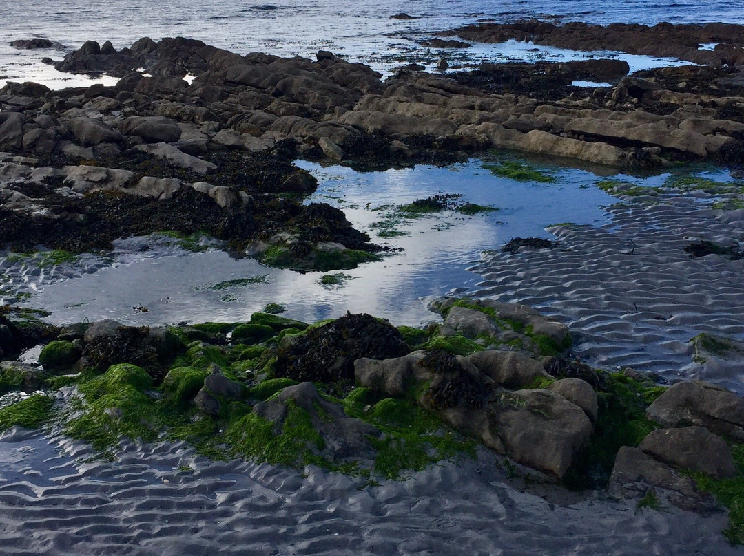 Fenit Lighthouse-特拉利必去景点
