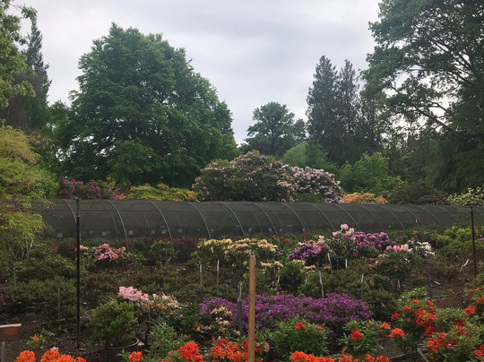 Whitney Gardens and Nursery-Brinnon必去景点