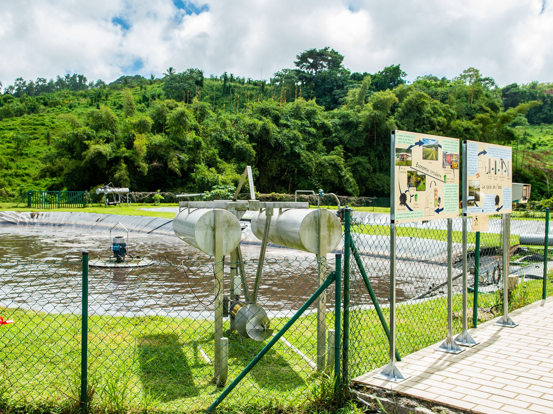 Royal Jus et Confitures de Fruits Tropicaux-Gros-Morne必去景点