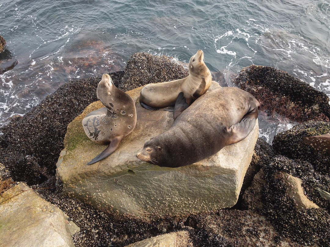 Breakwater-蒙特雷必去景点
