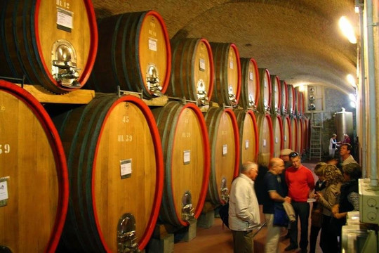 Savour Italy Tours-渥太华必去景点