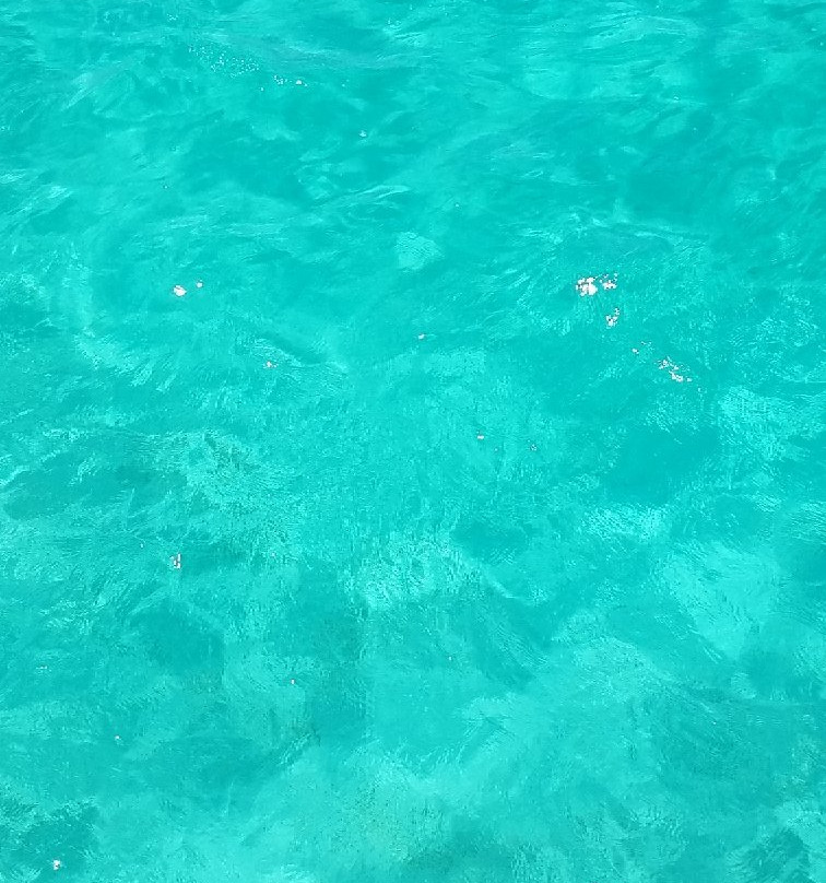 Big Marlin Charters Boca Chica-博卡奇卡必去景点