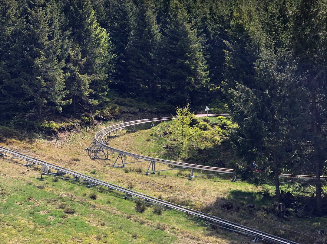 Bikepark Hahnenklee景点图片