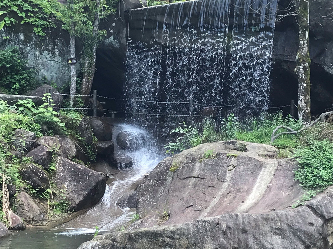 大围山国家森林公园景点图片