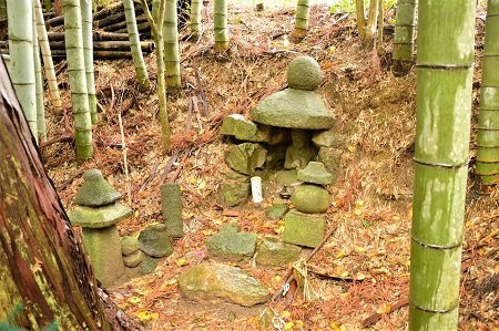 Joganji Temple-长冈京市必去景点