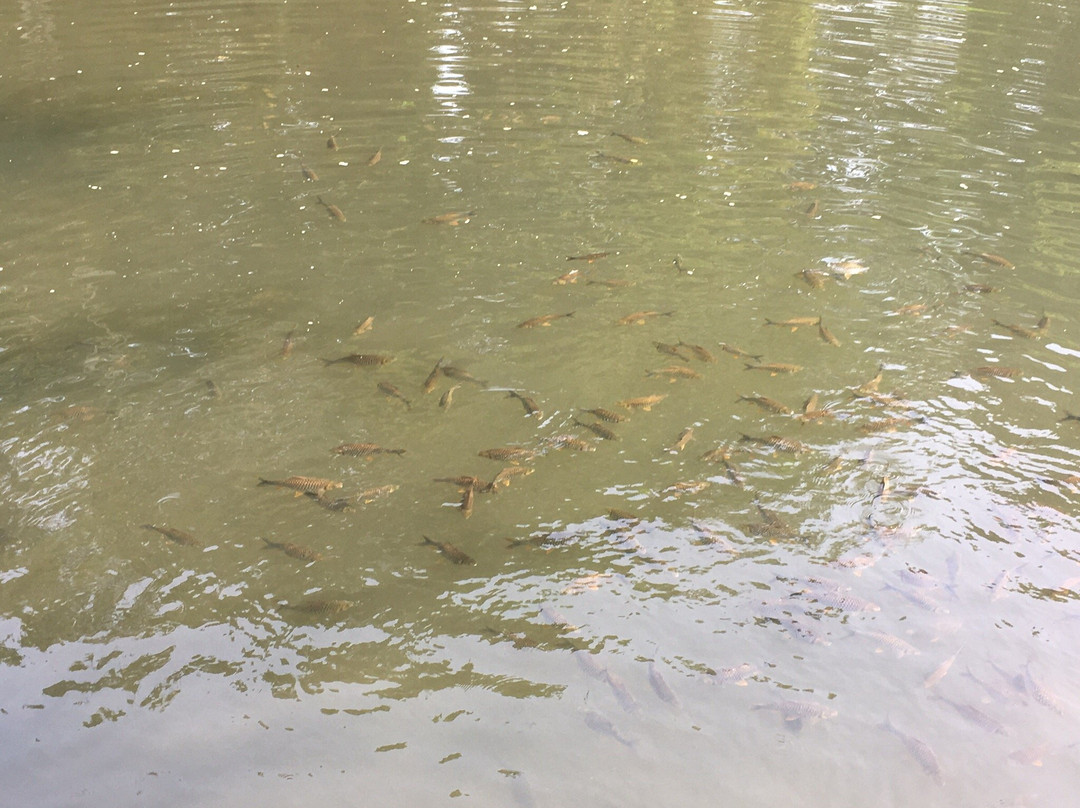 Chiangdao Riverside主图