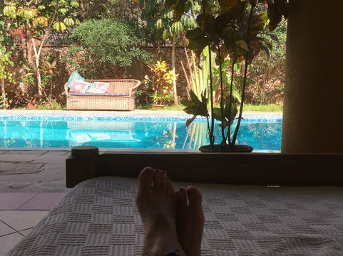 Mombasa Butterfly House-蒙巴萨必去景点