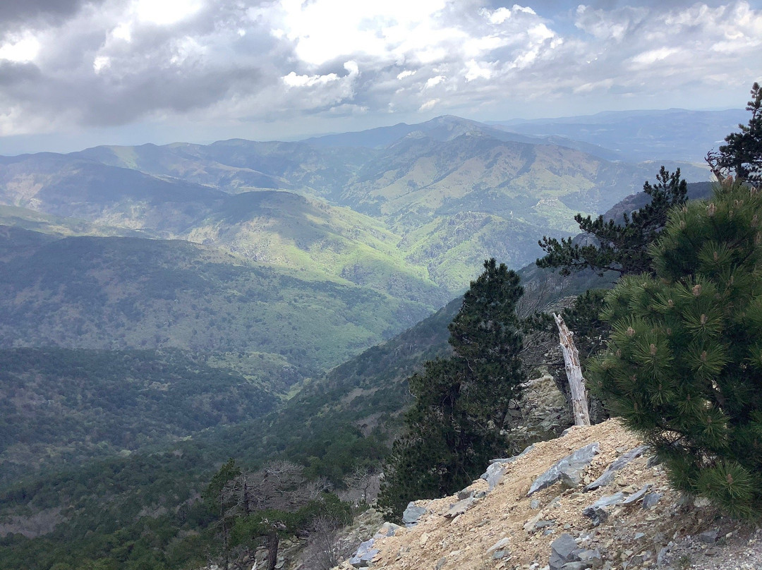 Kazdagi National Park景点图片