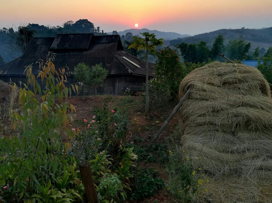 Tea Land Journey Trekking