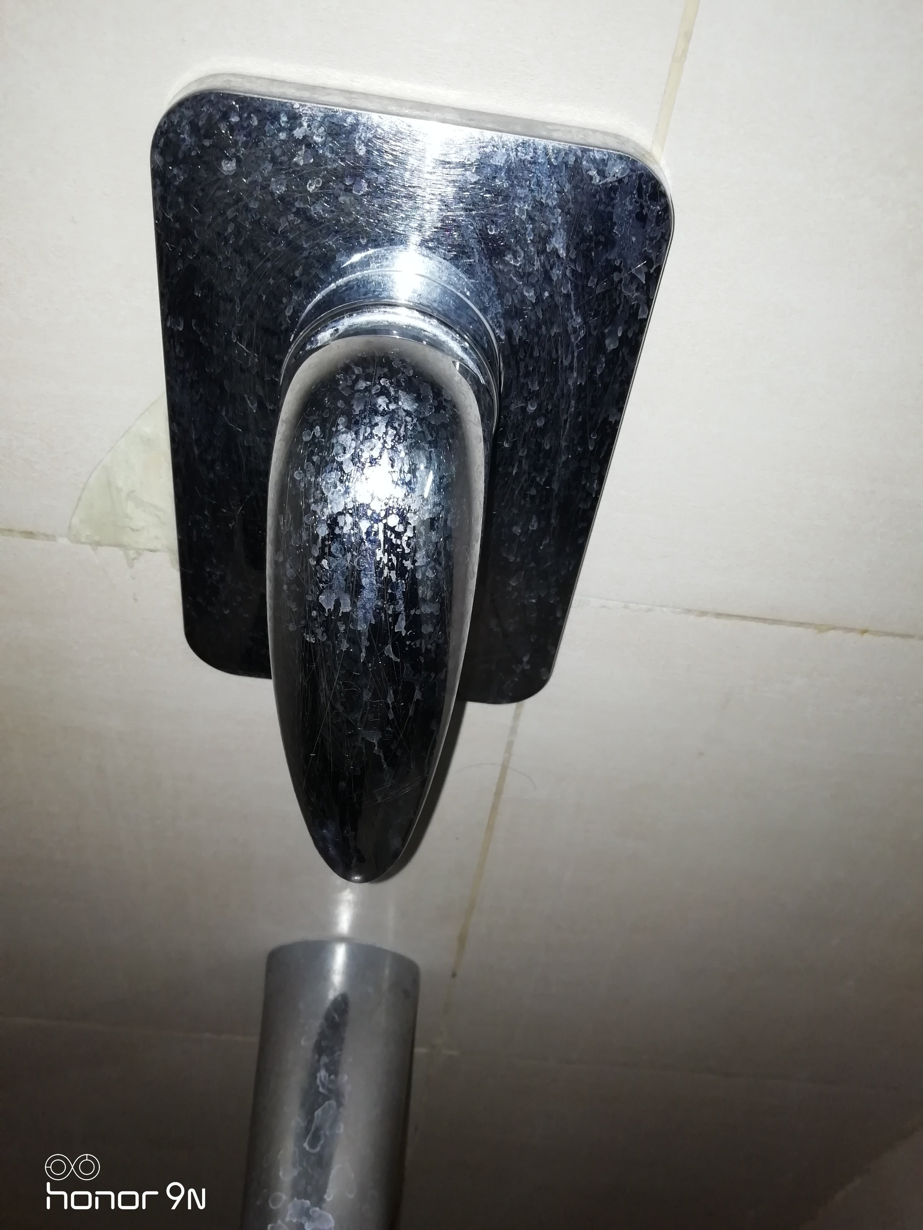 Best Western Tirupati-portrait