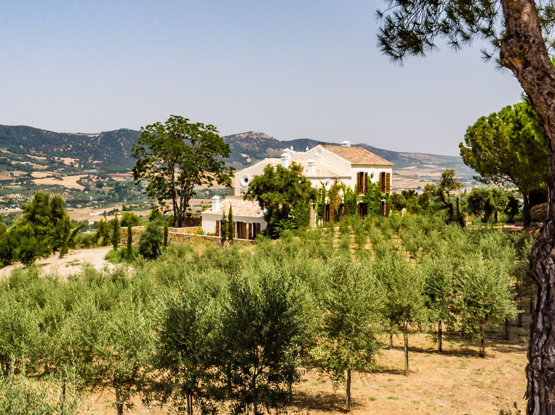 Cortijo LA Organic主图