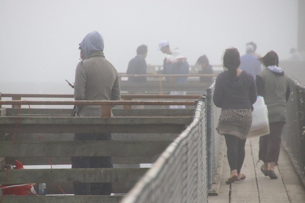 Pier's End-Garibaldi必去景点