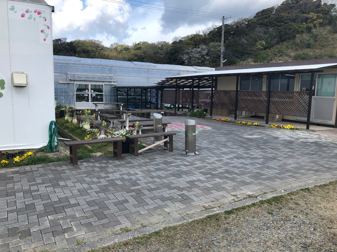 Futtsu Aqua Farm-富津市必去景点