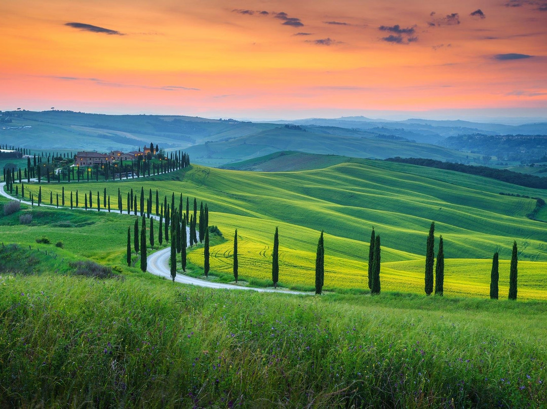 Luxury Tuscany Limo景点图片