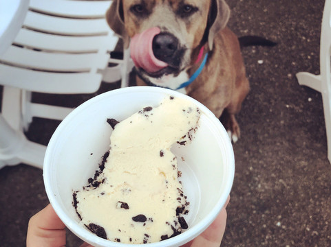 Uncle Eddy's Frozen Custard and 18 Hole Mini Golf-Buxton必去景点