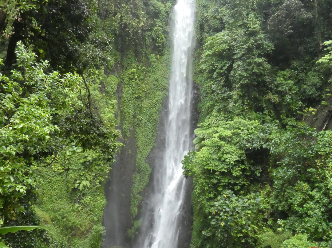 Putuk Truno Waterfall景点图片