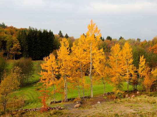 Ale Disc Golf Center-Noedinge-Nol必去景点