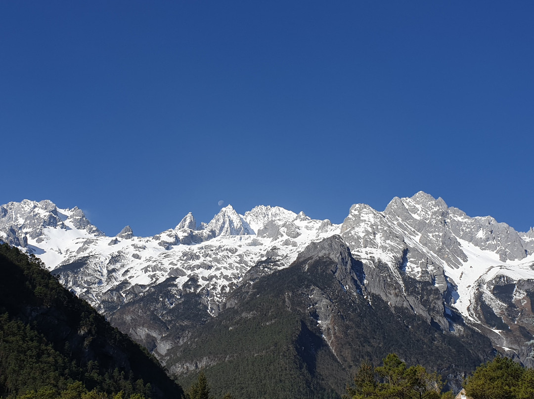 云杉坪索道景点图片