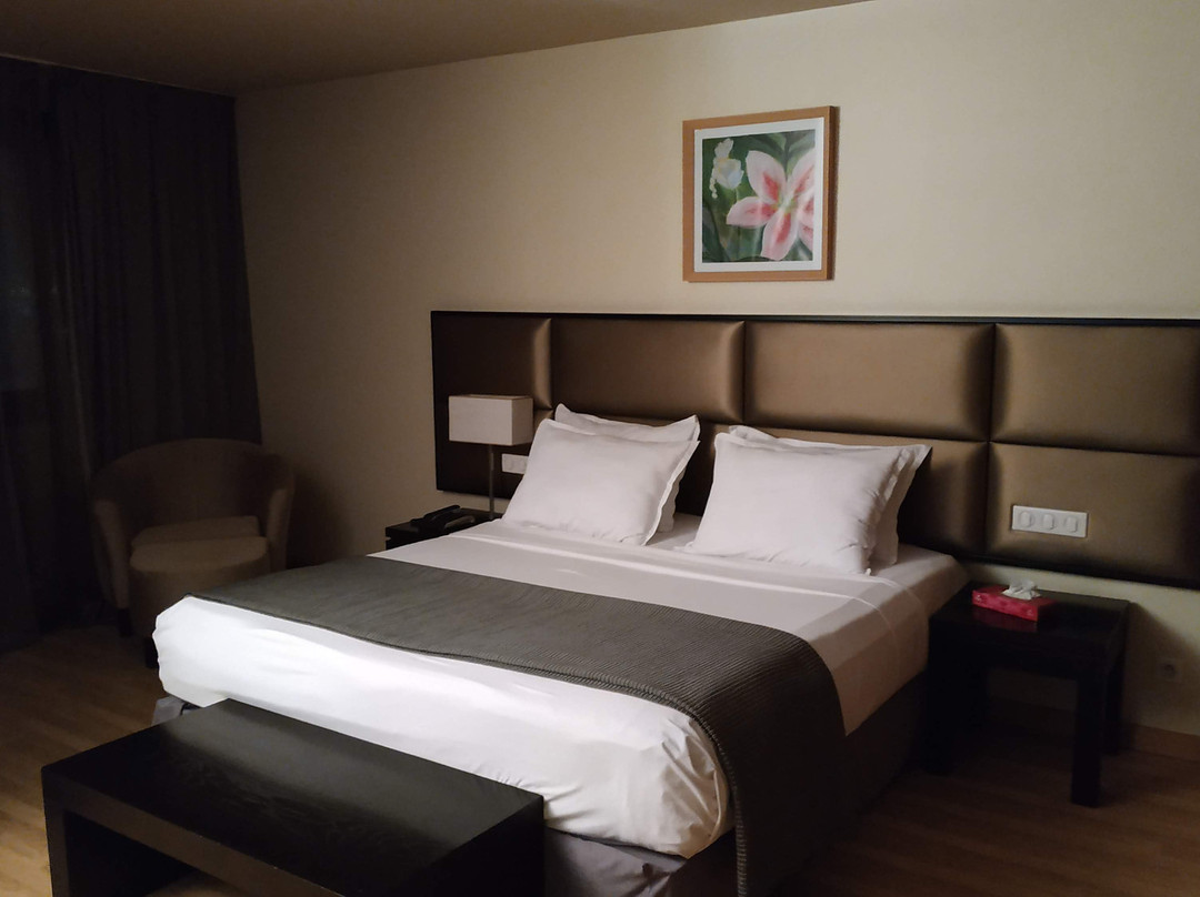 Hôtel Liberté主图