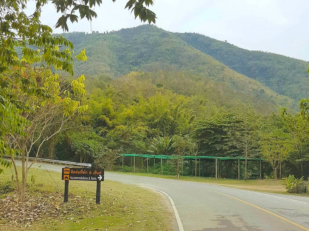 Tat Mok National Park-碧差汶必去景点