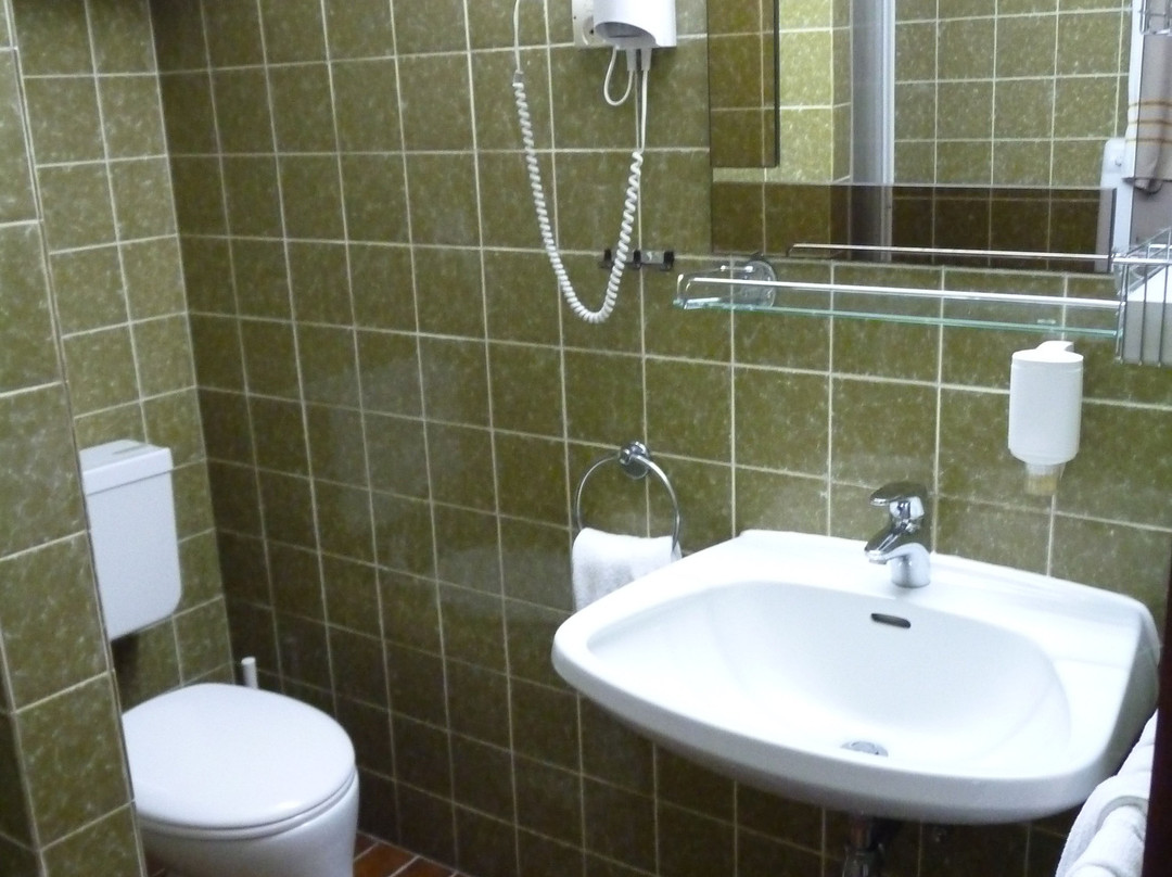 Hotel Voslauerhof主图
