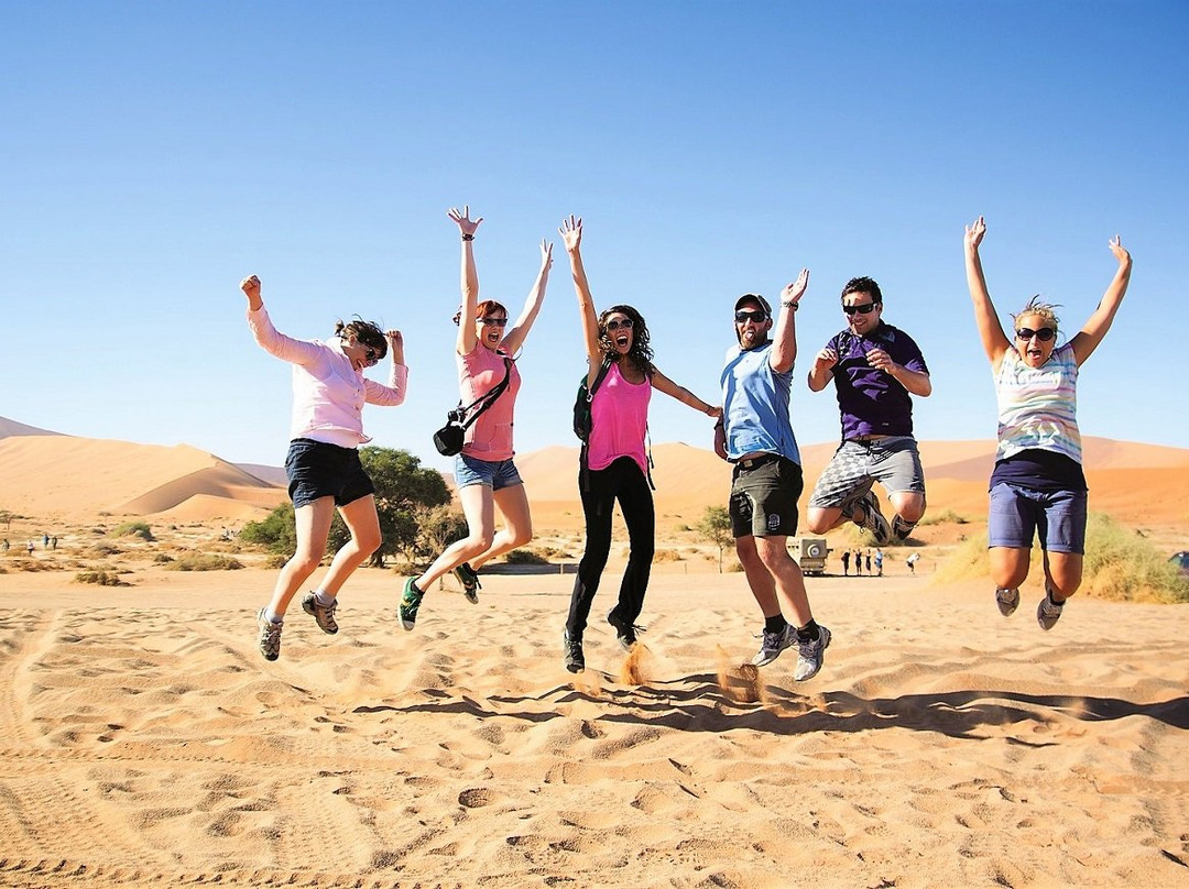 Acacia Africa-开普敦中心区必去景点