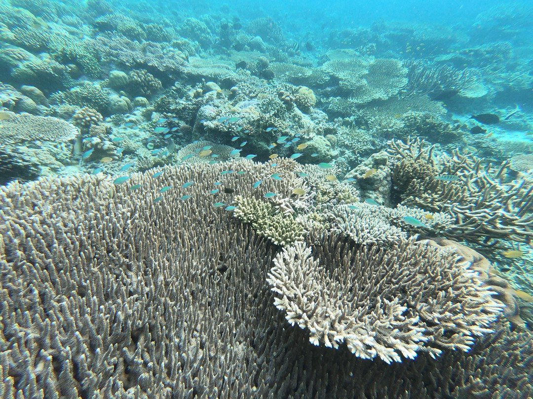 Lubang Buaya Morella Beach-安汶必去景点