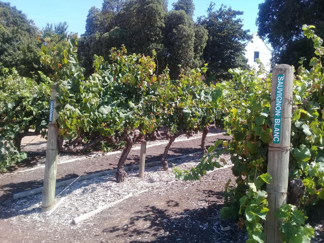 She Voyage hospitality-弗维斯必去景点