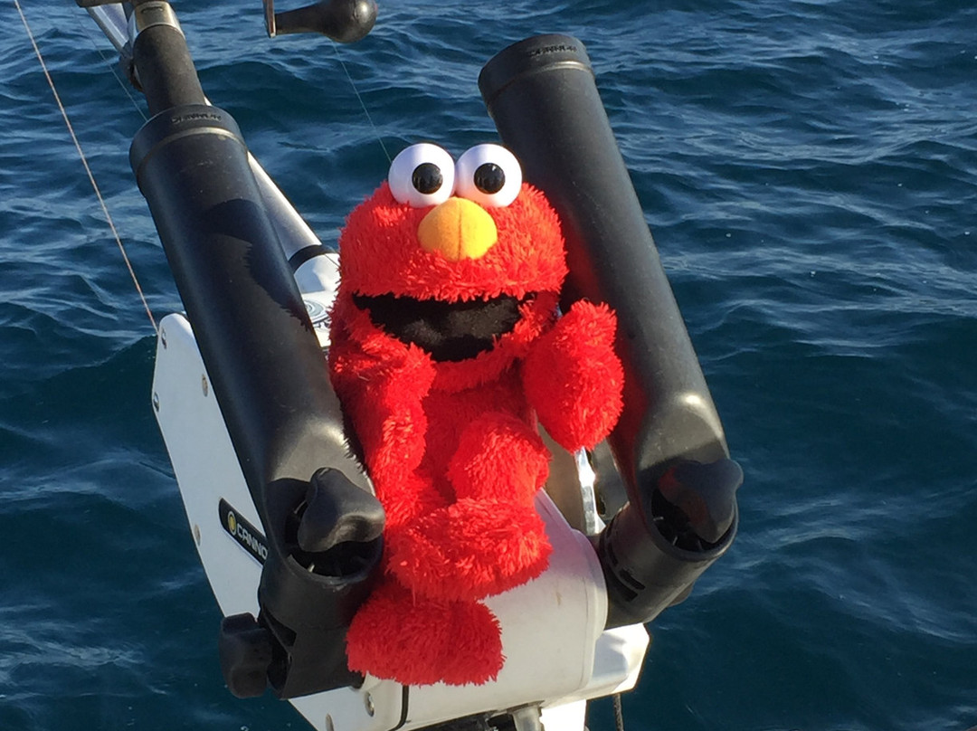 Dwindle's Dream Fishing Charters-Kincardine必去景点