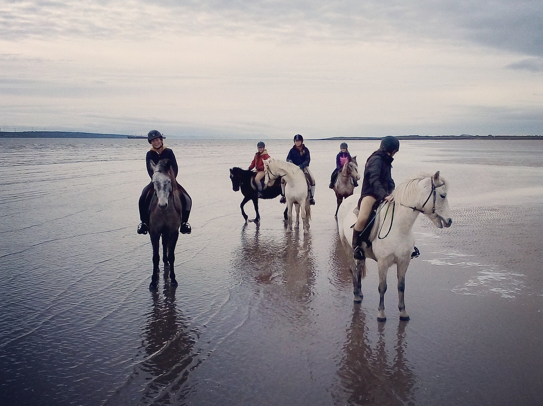 Carmen's Riding School-Kilkee必去景点