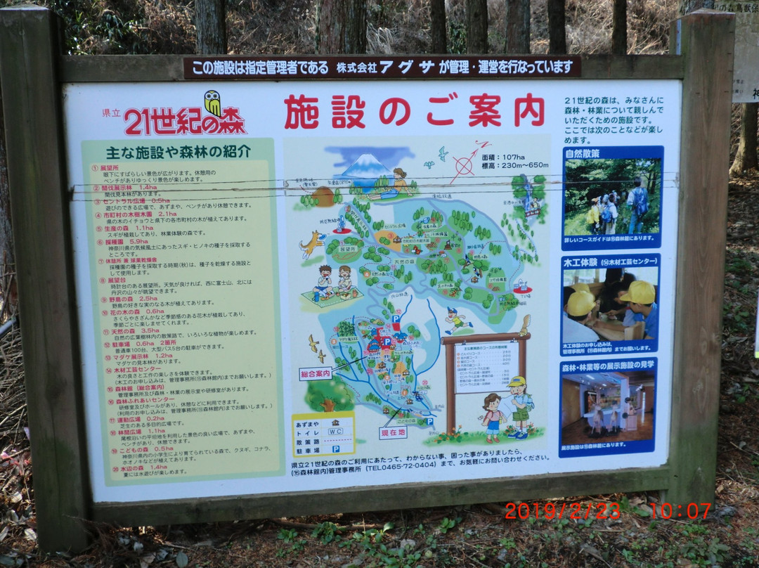 Kanagawa Prefecture 21st Century Forest-南足柄市必去景点