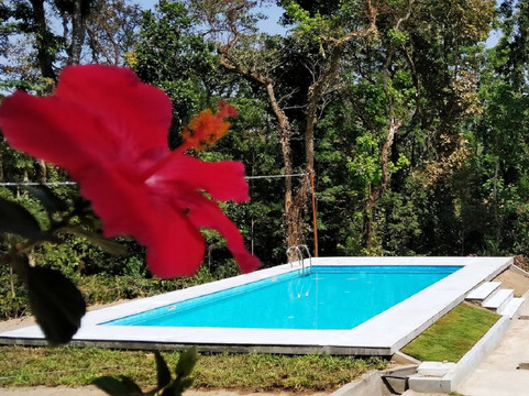 Kalyan Cool villa - Chikmagalur主图