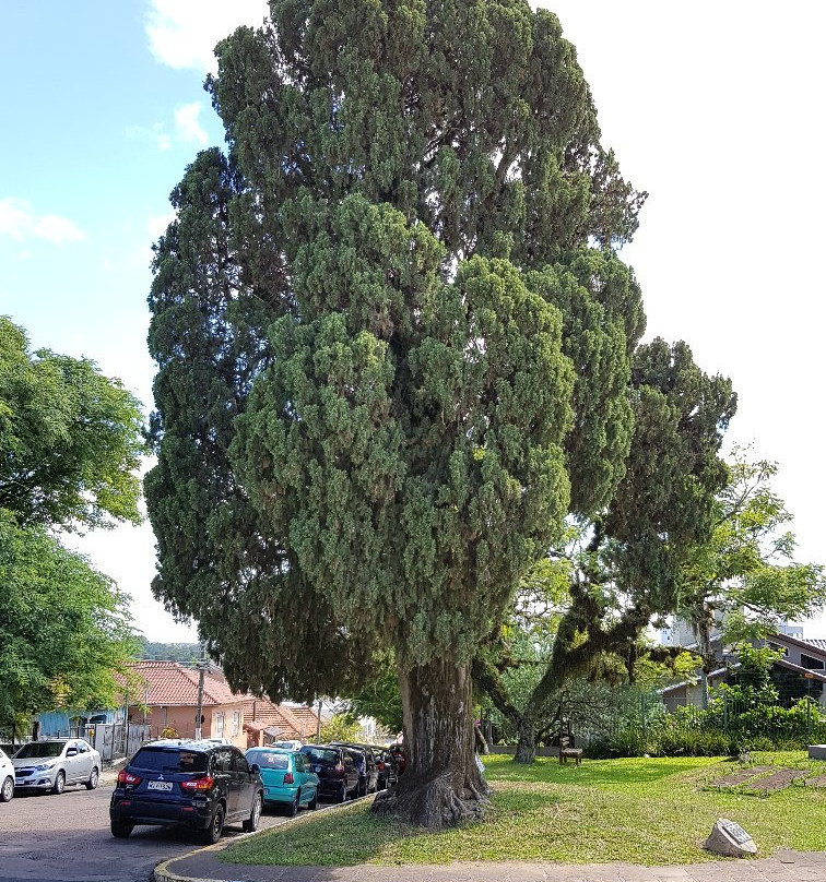 Casa de Gomes Jardim-Guaiba必去景点