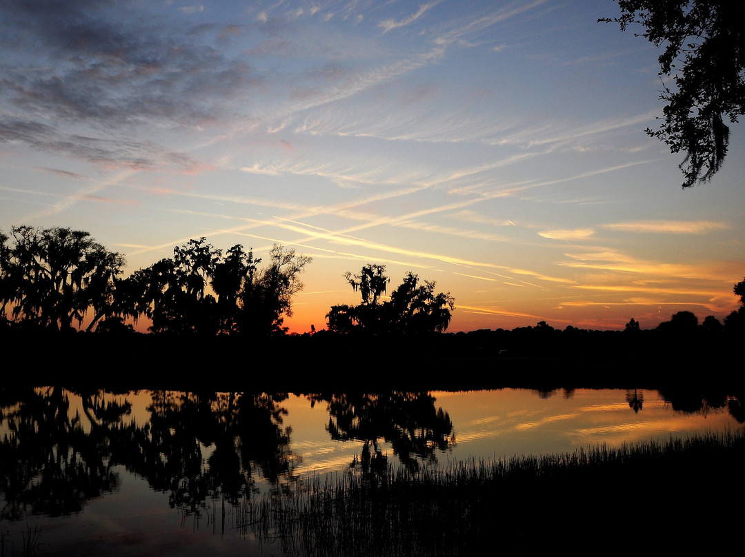 Tom Bennett Park-布雷登顿必去景点
