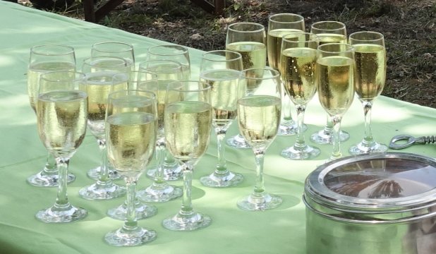 Jembisa Bush Home-餐饮