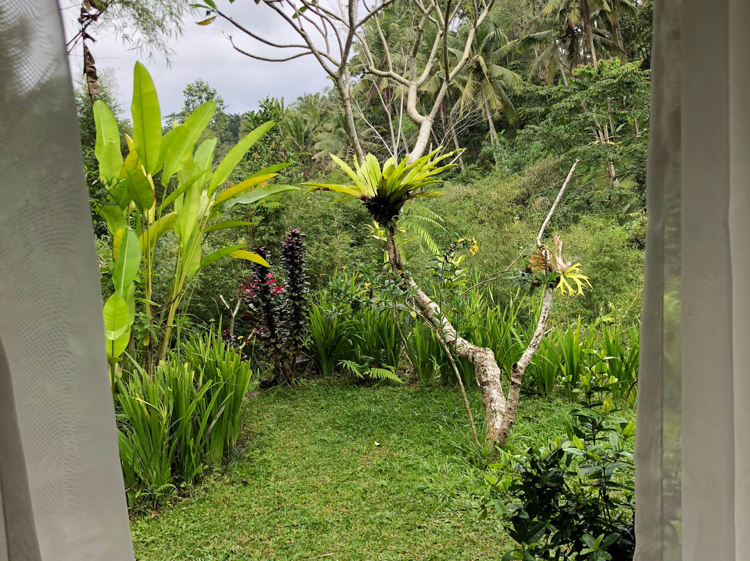 Bersila La Maison Du Bonheur主图