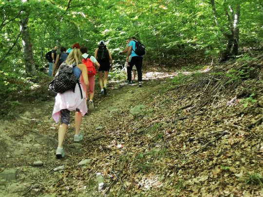 Green Oliver-塞萨洛尼基必去景点