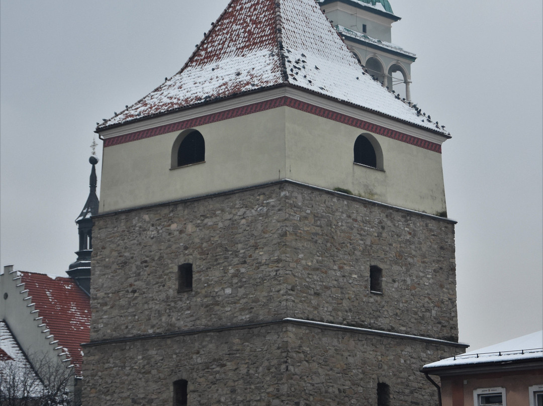 Konkatedra Narodzenia Najswietszej Maryi Panny-Zywiec必去景点