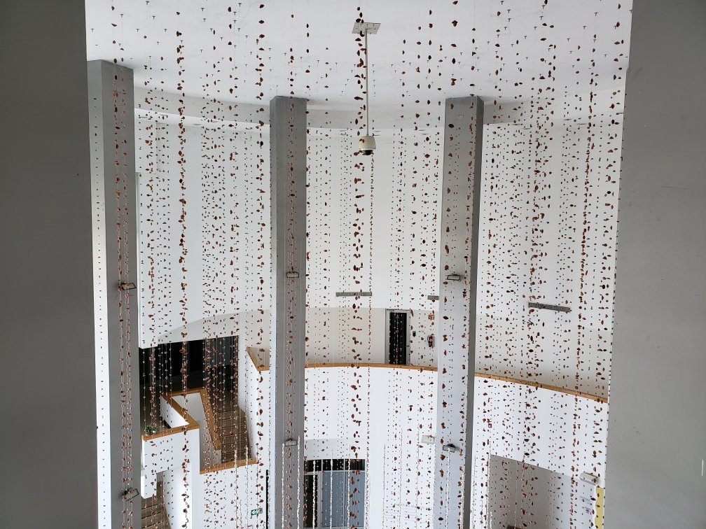 Musas Museo De Arte De Sonora-埃莫西约必去景点